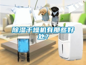 常見問題除濕干燥機有那些好處？