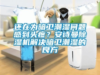 企業(yè)新聞還在為暗衛(wèi)潮濕問題感到頭疼？安詩曼除濕機解決暗衛(wèi)潮濕的良方