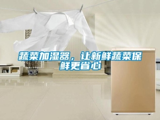 知識百科蔬菜加濕器，讓新鮮蔬菜保鮮更省心