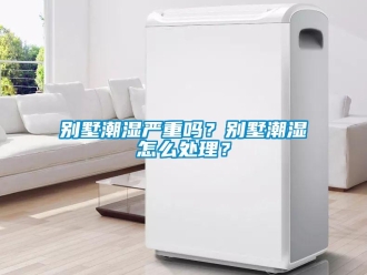 企業(yè)新聞別墅潮濕嚴(yán)重嗎？別墅潮濕怎么處理？