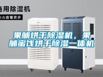 行業(yè)新聞果脯烘干除濕機(jī)，果脯蜜餞烘干除濕一體機(jī)