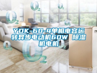 企業(yè)新聞YDK-60-4單相電容運轉異步電動機60W 除濕機電機