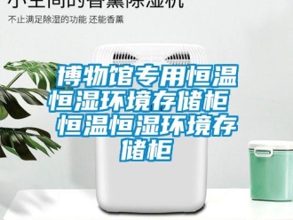 知識百科博物館專用恒溫恒濕環(huán)境存儲柜 恒溫恒濕環(huán)境存儲柜