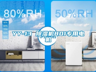 企業(yè)新聞YY-13 除濕機801專用電機