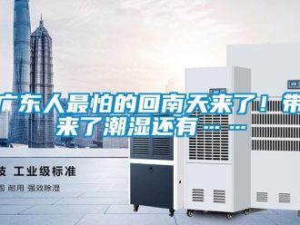 行業(yè)新聞廣東人最怕的回南天來了！帶來了潮濕還有……