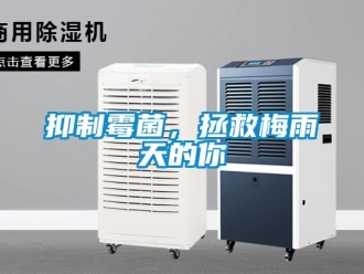 知識百科抑制霉菌，拯救梅雨天的你
