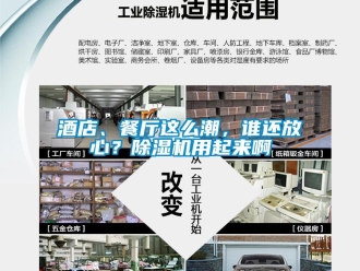 行業(yè)新聞酒店、餐廳這么潮，誰還放心？除濕機用起來啊