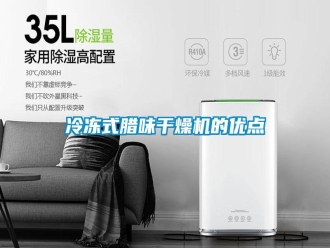 行業(yè)新聞冷凍式臘味干燥機(jī)的優(yōu)點(diǎn)