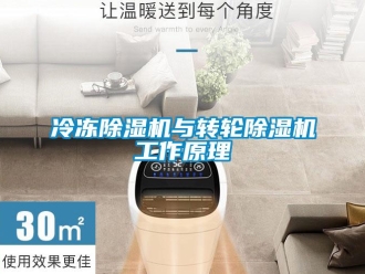 常見(jiàn)問(wèn)題冷凍除濕機(jī)與轉(zhuǎn)輪除濕機(jī)工作原理