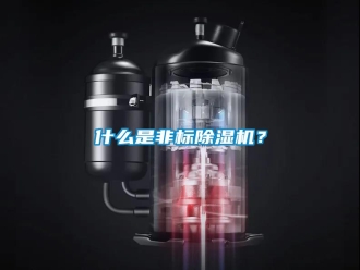 知識百科什么是非標(biāo)除濕機(jī)？