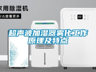 企業(yè)新聞超聲波加濕器霧化工作原理及特點(diǎn)