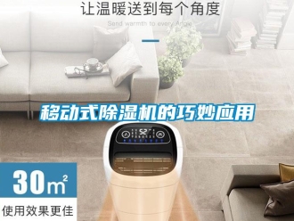 知識百科移動式除濕機(jī)的巧妙應(yīng)用