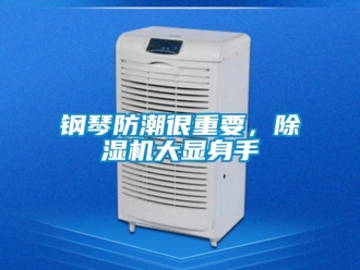 企業(yè)新聞鋼琴防潮很重要，除濕機大顯身手