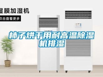 知識(shí)百科柿子烘干用耐高溫除濕機(jī)排濕