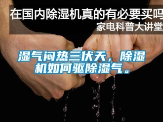 常見問題濕氣悶熱三伏天，除濕機如何驅(qū)除濕氣。