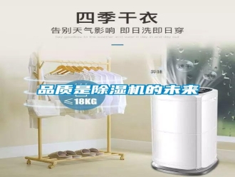 行業(yè)新聞品質(zhì)是除濕機(jī)的未來(lái)