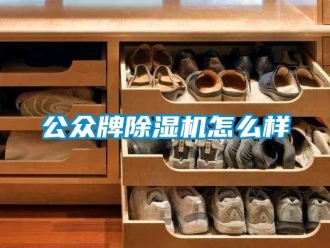 行業(yè)新聞公眾牌除濕機怎么樣