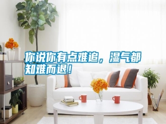 行業(yè)新聞你說(shuō)你有點(diǎn)難追，濕氣都知難而退！
