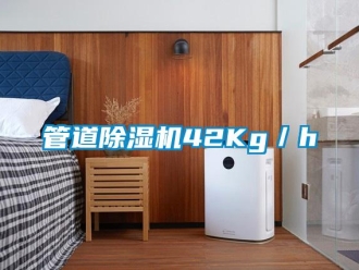 行業(yè)新聞管道除濕機(jī)42Kg／h