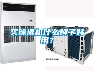 行業(yè)新聞買除濕機(jī)什么牌子好用？