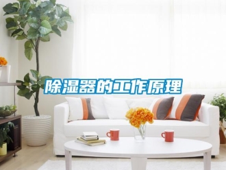 企業(yè)新聞除濕器的工作原理