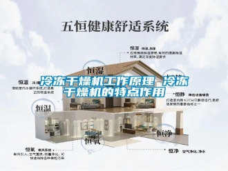行業(yè)新聞冷凍干燥機工作原理 冷凍干燥機的特點作用