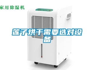 行業(yè)新聞蓮子烘干需要選對設(shè)備