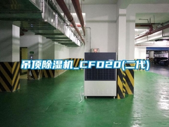 行業(yè)新聞吊頂除濕機(jī)_CFD20(二代)