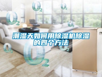 常見問題潮濕天如何用除濕機(jī)除濕的四個方法