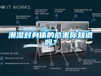常見(jiàn)問(wèn)題潮濕對(duì)身體的危害你知道嗎？