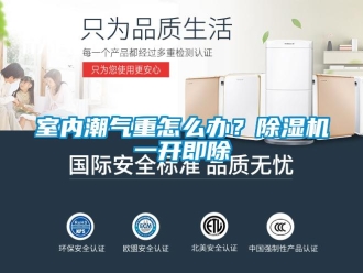 常見問題室內(nèi)潮氣重怎么辦？除濕機(jī)一開即除