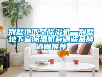 企業(yè)新聞別墅地下室除濕機(jī)—別墅地下室除濕機(jī)有哪些品牌值得推薦