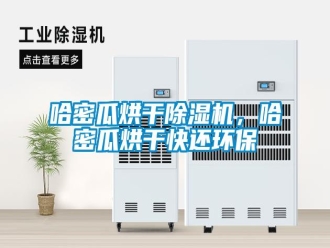 行業(yè)新聞哈密瓜烘干除濕機(jī)，哈密瓜烘干快還環(huán)保