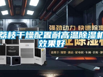 行業(yè)新聞荔枝干燥配置耐高溫除濕機效果好