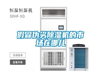 行業(yè)新聞假冒偽劣除濕機(jī)的市場(chǎng)在哪兒