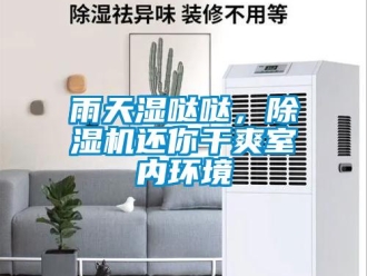 知識(shí)百科雨天濕噠噠，除濕機(jī)還你干爽室內(nèi)環(huán)境