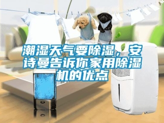 企業(yè)新聞潮濕天氣要除濕，安詩曼告訴你家用除濕機的優(yōu)點