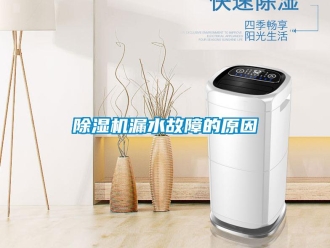 常見問題除濕機漏水故障的原因