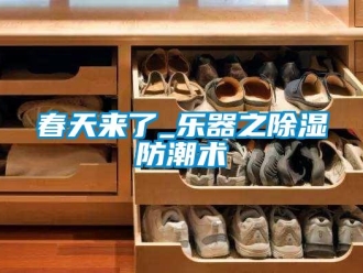 企業(yè)新聞春天來(lái)了_樂(lè)器之除濕防潮術(shù)
