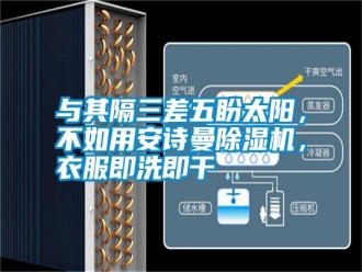 企業(yè)新聞與其隔三差五盼太陽，不如用安詩曼除濕機，衣服即洗即干