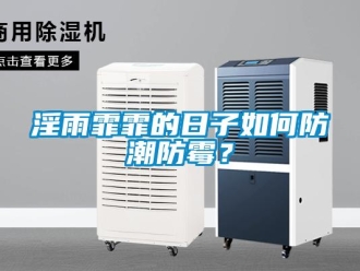 常見問題淫雨霏霏的日子如何防潮防霉？