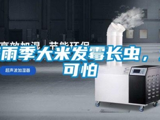 行業(yè)新聞梅雨季大米發(fā)霉長蟲，太可怕