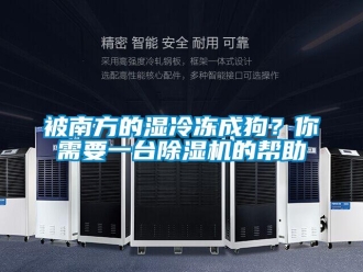 常見問題被南方的濕冷凍成狗？你需要一臺除濕機(jī)的幫助