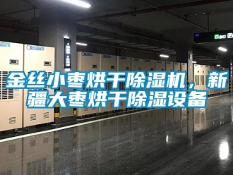 行業(yè)新聞金絲小棗烘干除濕機，新疆大棗烘干除濕設(shè)備