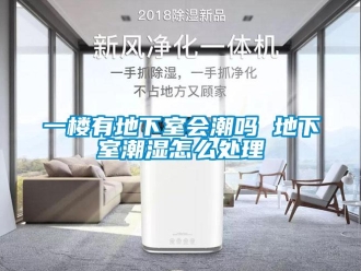 企業(yè)新聞一樓有地下室會潮嗎 地下室潮濕怎么處理