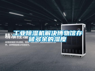 企業(yè)新聞工業(yè)除濕機(jī)解決博物館存儲(chǔ)多余的濕度