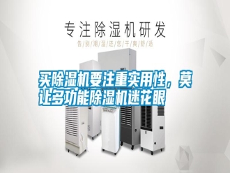 行業(yè)新聞買(mǎi)除濕機(jī)要注重實(shí)用性，莫讓多功能除濕機(jī)迷花眼