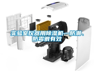 知識百科實(shí)驗(yàn)室儀器用除濕機(jī)—防潮、防霉很有效