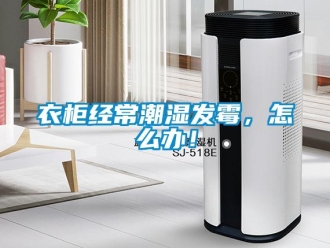 常見問題衣柜經(jīng)常潮濕發(fā)霉，怎么辦！