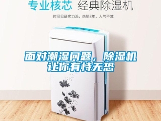 常見問題面對潮濕問題，除濕機(jī)讓你有恃無恐